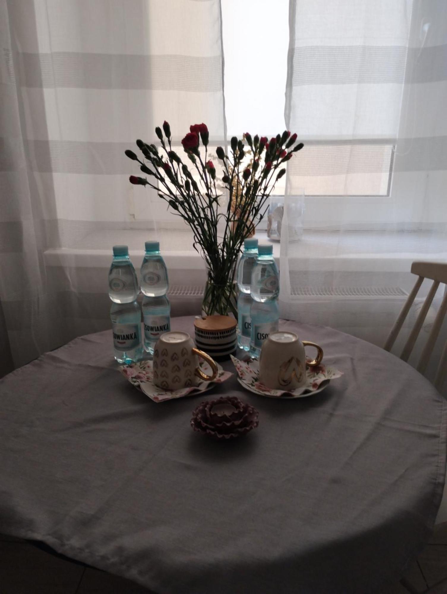 Apartament - Mieszkanie Samodzielne 이노우로추프 외부 사진